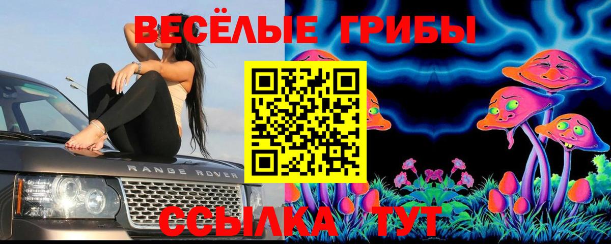 Нижний Новгород  Галлюциногенные грибы MAGIC MUSHROOMS  Вход с VPN 