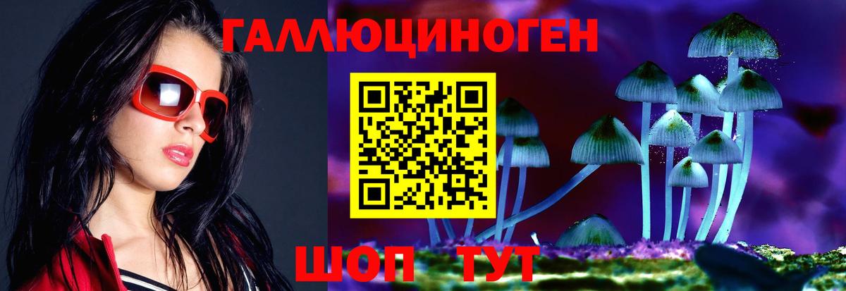 Галлюциногенные грибы Cubensis Нижний Новгород